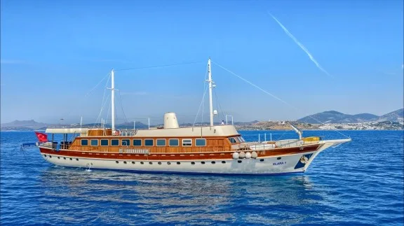 ELARA 1