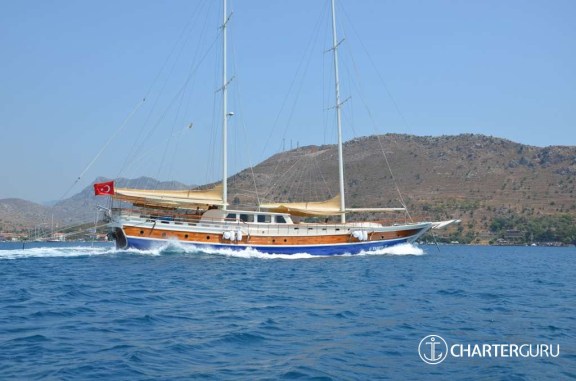 C. Taner 2