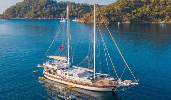 Image of WHITE SWAN yacht #17