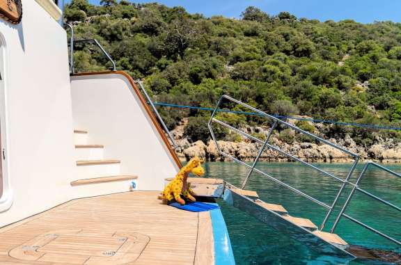 Image of BURKUT yacht #15