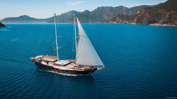 Image of NEVRA QUEEN yacht #19