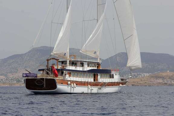 Image of BOREAS yacht #13