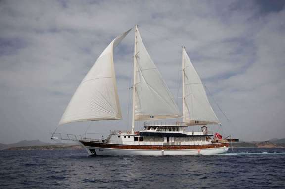 Image of BOREAS yacht #16