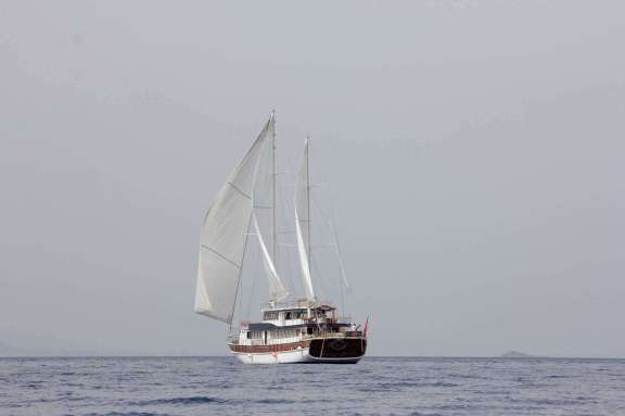 Image of BOREAS yacht #17